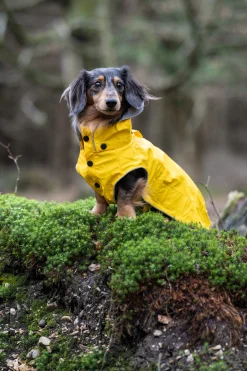 Rukka Pets Stream raincoat