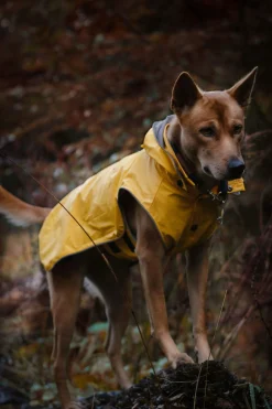 Rukka Pets Stream raincoat