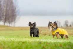 Rukka Pets Stream raincoat