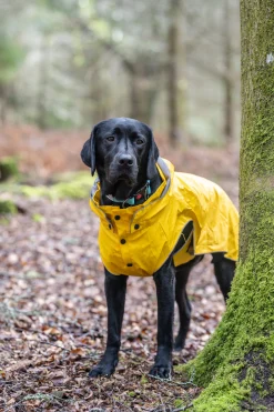 Rukka Pets Stream raincoat