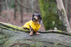 Rukka Pets Stream raincoat