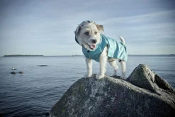 Rukka Pets Stream raincoat