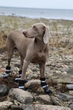 Rukka Pets Thermal winter shoes 4 pcs
