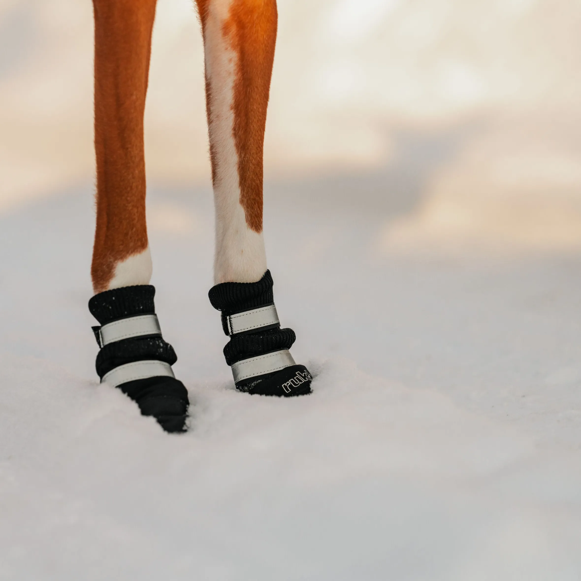 Rukka Pets Thermal winter shoes 4 pcs