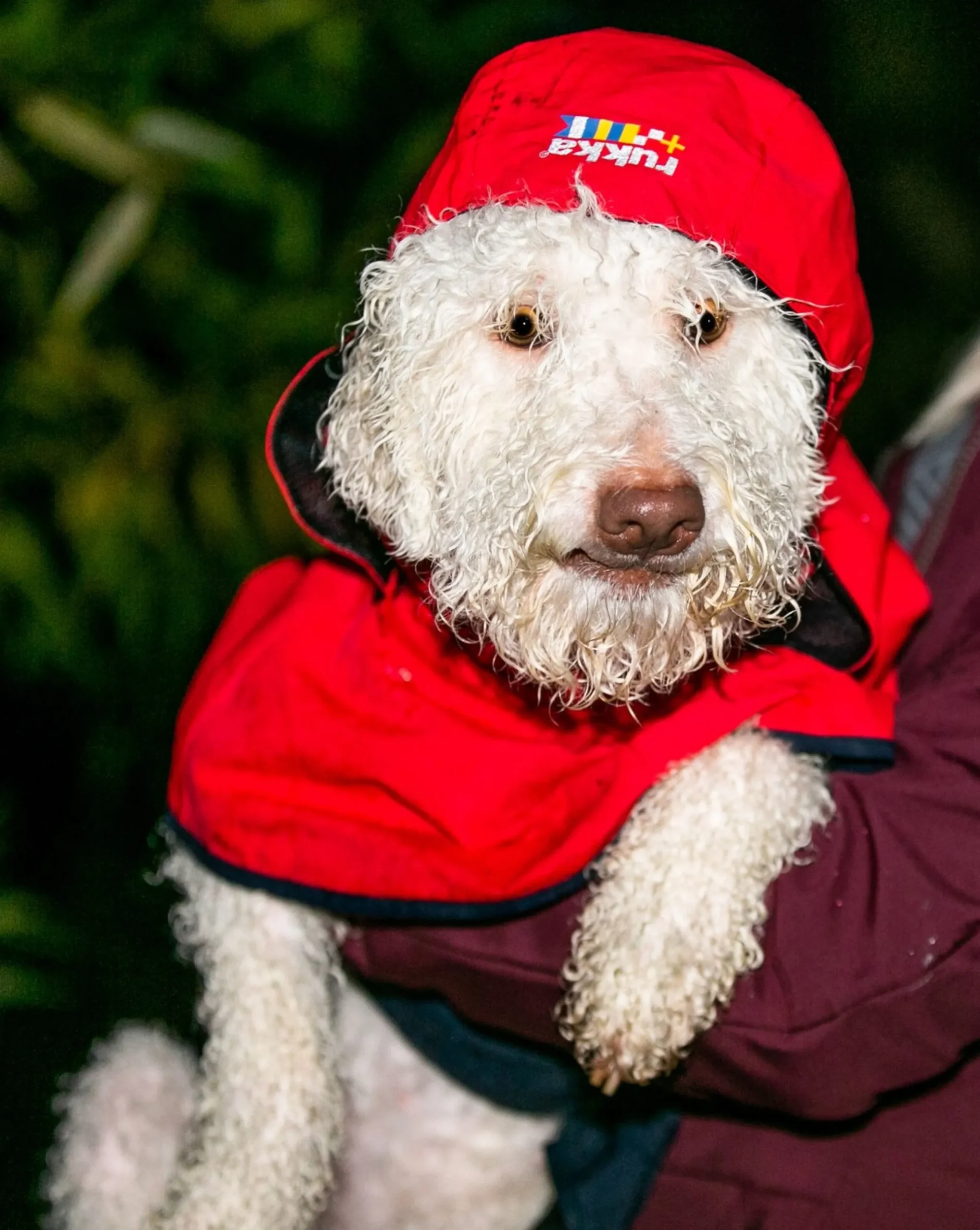 Rukkapets Wavy raincoat